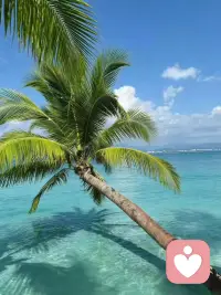 人生要么力争上游，
要么随波逐流。
当你状态在线，信念坚定，
能量就会源源不断地释放！配图