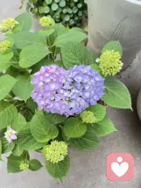 最頂級的成功秘訣只有一條，那就是:
毫無保留的相信自己！
無論你想做成什么事或成為怎樣的人
從你下定決心的那一刻起
就必須把全部注意力與念頭
徹底集中于這個目標上
一秒都不要遲疑
以極致的虔誠、極致的專注、極致的信念
堅決認定此事必成！
這樣你便很大程度上走向成功！配圖