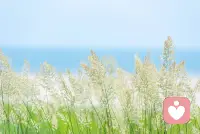 不要因為別人一句話，丟掉一整天的快樂。

你未必萬丈光芒，但你溫暖有光。

有時候生活給你苦難，是在鋪墊快樂。

別灰心，普普通通的你也值的被萬般寵溺。

日復一日的生活也會有新的快樂。

慢也好，步子小也好，往前走就好。

生活其實很美好，就差你一個微笑。

并非出類拔萃，但一定與眾不同。

你被黑暗敲打，恰恰說明你是光明本身。

你已經在低谷了，沒有什么情況比這更壞
了，接下來一切都會好起來的。

天越來越黑，星星就會越來越亮。

今天比昨天好，這就是希望。

心懷光明，一直前進。

總不能因為這世人有人跟你道不同，你就不好好走自已的路呀！配圖