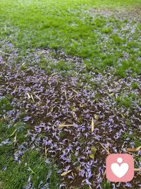 与其违心赔笑，不如一人安静，与其在意别人的背弃和不善，不如经营自己的尊严和美好。