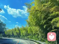 不够完美又何妨，万事皆有裂痕，那是光照进来的地方！