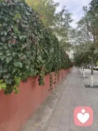 时间就是生命
时间就是知识
时间就是胜利
时间就是财富