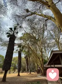 人啊，這一生大部分時間都在空蕩蕩的房子里學會獨處，媽媽的肚子里，襁褓時期的搖籃里，少年時期的書房里，成年時期的臥室里，老年時期的病房里。孤獨是常態，對自己好一點。祝你一生幸福快樂！配圖