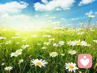 扇風點火的嘴，攀緣的心，無趣的理性和邏輯，貪婪和欲望，一心向前的意志。配圖