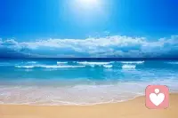 《人間失格》里有這樣一句話：僅一夜之間，我的心判若兩人。他自人山人海中來，原來只為給我一場空歡喜。你來時攜風(fēng)帶雨，我無處可避；你走時亂了四季，我久病難醫(yī)。配圖