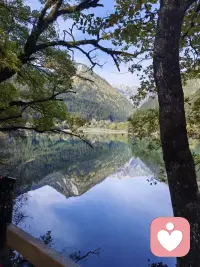 晨光不是用來焦慮昨天的，而是為了照亮今天要走的路。別糾結“沒做好”，專注“能做到”，每一步踏實的行動，都是在給未來的自己鋪路，早安，加油！配圖