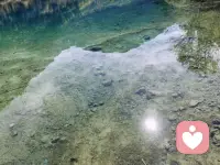 不必追趕別人的腳步，每個人的花期不同。今天哪怕只完成了一件小事，也是在為成長蓄力；哪怕只克服了一個小難，也是在為勇氣加分。認真生活的你，本身就很有力量，今日繼續發光！配圖