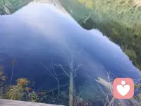 慢慢來(lái)，風(fēng)會(huì)接住你

不必急著把今天的試卷填滿，也無(wú)需強(qiáng)迫自己成為永不疲倦的齒輪。允許窗臺(tái)上的綠蘿慢慢爬，允許咖啡上的奶泡慢慢散，允許自己在某個(gè)午后，什么都不做，只是聽(tīng)風(fēng)穿過(guò)樹(shù)葉的聲音，像聽(tīng)一首沒(méi)有歌詞的歌。

那些沒(méi)說(shuō)出口的話，那些沒(méi)完成的事，那些壓在心頭的重量，都可以暫時(shí)放一放。就像云朵不會(huì)永遠(yuǎn)停在天空，雨不會(huì)一直下，你的煩惱也不會(huì)一直占據(jù)你的世界。此刻，不必追求明亮，不必假裝堅(jiān)強(qiáng)，哪怕只是安靜地坐著，感受自己的呼吸——一吸一呼間，都是生命在溫柔地?fù)肀恪?
慢慢來(lái)，真的沒(méi)關(guān)系。春天的花會(huì)在自己的時(shí)間開(kāi)放，你也一樣，會(huì)在屬于自己的節(jié)奏里，慢慢舒展，慢慢輕盈。風(fēng)會(huì)接住每一片落下的葉子，也會(huì)接住此刻有點(diǎn)累的你。