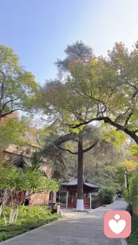 清晨的風(fēng)，是給早起者的溫柔擁抱；路上的光，是為前行者亮的專屬燈塔。不必糾結(jié)昨天的遺憾，也無(wú)需焦慮明天的未知，把每個(gè)“今天”都過(guò)得熱氣騰騰，就是對(duì)生活最好的回應(yīng)。早安，新的一天，全力以赴就好！