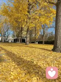 生活不會(huì)總是一帆風(fēng)順，但那些打不倒你的，終將成為你成長(zhǎng)的勛章。別因暫時(shí)的困頓停下腳步，也別為小事消耗情緒，你今天的每一份堅(jiān)持，每一次努力，都在悄悄為你鋪墊更美的風(fēng)景。加油，你比自己想象中更強(qiáng)大！