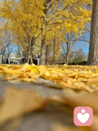 或許此刻的你有些疲憊，或許眼前的路有些曲折，但請(qǐng)記得：陽(yáng)光總在風(fēng)雨后，美好總在堅(jiān)持里。給自己一點(diǎn)鼓勵(lì)，給生活一個(gè)微笑，用心做好每件小事，認(rèn)真對(duì)待每個(gè)當(dāng)下，時(shí)光定會(huì)回饋你所有的溫柔與努力。今日份美好，從相信自己開(kāi)始！