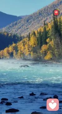 你走的每一步都算數(shù)，哪怕暫時(shí)看不到成果，也別輕易放棄。