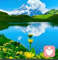 回頭看，輕舟已過萬重山；向前看，前路漫漫亦燦燦。祝好運！配圖