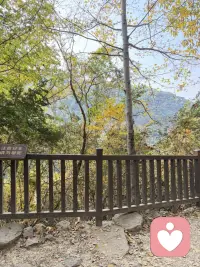 情緒又多，語言又有限的時候，那就去跑步釋放。配圖