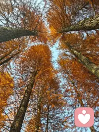 人生沒有完美，幸福沒有滿分！時光靜好，心永遠(yuǎn)微笑向暖；不假想，不期望，過好每個今天，讓日子過得單純而美好；美好的，留在心底；遺憾的，隨風(fēng)散去。