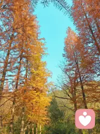 每個人都會有心情低谷期，不管你現在擁有什么，聯系不開心，就回到自己出生的地方！
看看親人，接接地氣，你會突然發現，大城市的煩惱全沒有了！配圖