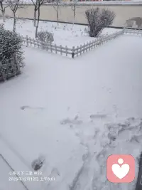 “我自己喜歡自己不行嗎？我只喜歡我自己，隨便你們?！焙孟矚g這句話。配圖