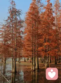 不要生氣。因為生氣是最沒意義的事情。一樣的嘴不一樣的說法，一樣的眼不一樣的看法，一樣的心不一樣的想法…… 工作只要做到問心無愧！只管做好你自己，其他的交給時間和天意。配圖