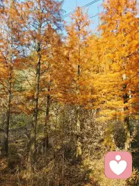 让你生气失态的只能是自己最亲近最在意的人～～其他的，无所谓～～～