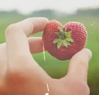 愛，要用對方能接收的方式來表達（*＾ワ＾*）配圖