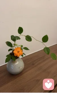 于心無事，于事無心。
??花間覺醒??配圖