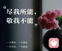 盡我所能，是向前的力量；敬我不能，是沉淀的智慧。這兩者的結(jié)合，便是成熟的模樣。