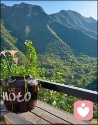 人的命運好壞，往往取決于心態(tài)。
心底布滿陰云的人，目之所及皆是枯枝敗葉，生命也就黯淡無光。
心存陽光的人，所到之處皆是繁花似錦，哪怕跌入陰暗的低谷，也依然能夠逆襲改命。配圖