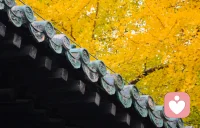 人生海海，知己難求。愿你我有幸都能遇見
記得你喜好、懂得你不易、珍視你付出的人。