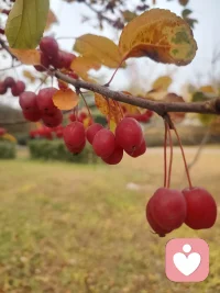 人生不是不斷獲取，而是有選擇地保留 放下不需要的，才能為重要的騰出空間。