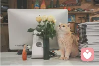 人要有翻遍的能力，不依不饒就是畫地為牢，
困不住別人，卻困得住自己。