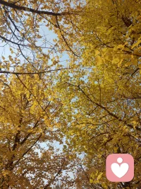 凡是过往，皆为序章，
人生没有如果，有的只是“幸好此刻”。