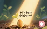 教育不是雕刻，
是唤醒种子的光