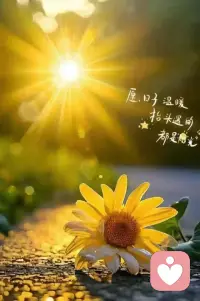 常常提醒自己注意幸福，就像在寒冷的日子里经常看看太阳，心就不知不觉暖洋洋、亮光光。