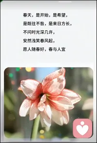 春天，是开始，是希望，
是既往不咎，是来日方长
不问时光深几许，安然浅笑春风起
愿人随春好，春与人宜