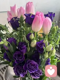 人生的每一次蛰伏，都是生命最好的复苏。