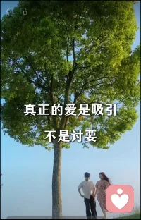 真正的爱是吸引而非讨要，
要把时间、金钱和情感直接投资给自己。
当你真正贵起来（内在价值提升），世界自然会善待你。