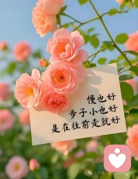 真正的强大，不是无所畏惧，
而是在看清生活的真相后，依然热爱生活，
依然愿意带着温柔与勇气，奔赴前路。