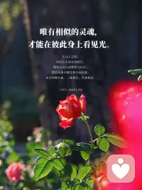懂你的人，不一定见过你所有的狼狈，却能一眼看穿你笑容背后的疲惫；
不一定陪你走过所有的路，却能在你沉默不语时，恰好说出你的心声。
不必强求所有人都理解你。
你只管落落大方做好自己。配图