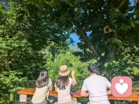 遇见优秀的人，世界就多一本书；
遇见真诚的人，路上就多一盏灯；
遇见心善的人，就人间多一扇门；
遇见懂你的人，生命就多一首诗，配图
