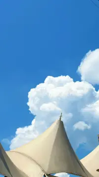 你看這朵云，
像不像我肚子里生的氣。