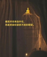痛苦并非来自外在，而是来自你紧抓不放的期待。