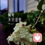 幾許??的頭像