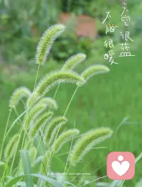 痛苦来自于虚假的,为什么呢?
当能力与欲望不匹配时,欲望达不到就瞬间崩塌,痛苦也就随之产生。