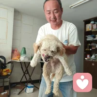 人生就是如此，有欢喜，有伤痛。但请你不要觉得自己是座孤岛，无人理解。其实每个人都有同样的感受体验，都曾经历了无人问津的岁月。所以，请爱惜你自己，与自己和解。和相似的人交朋友，爱对的人。配图