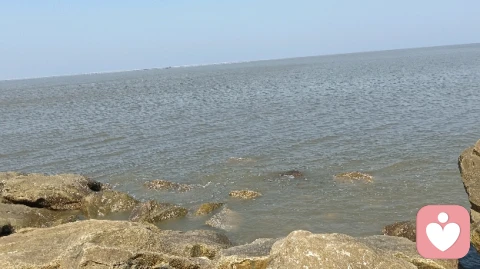 管理心理学的应用