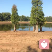 积极社会心理学，落地的人本主义心理学。倡导第二亚当之人性，追求乐观，积极的心态。遇见消极情绪，瞬间逃离。多运动，爱生活，爱自然，使用福流。