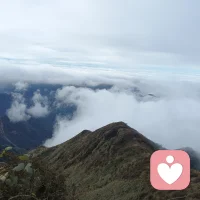 别人打压你，是因为嫉妒你；贬损你，是因为你很优秀，很卓越。别再为别人对你的恶待，而伤心了哈！你依然是爸妈的宠儿，老天的宝贝！