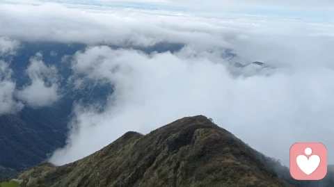 精神分裂症的病因解析