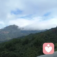 社会关系模式
人与自己的关系，就是与世界的关系。父亲是所有敌人的原型。