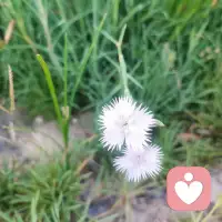 小孩子天生懂爱，不是他（她）们天生具备爱的能力，而是需要被爱，而产生的一种依恋情怀。爱是一种恩赐，一种让人感受到的温暖，一种心灵的慰藉，一股可以改变自己的力量与源泉。